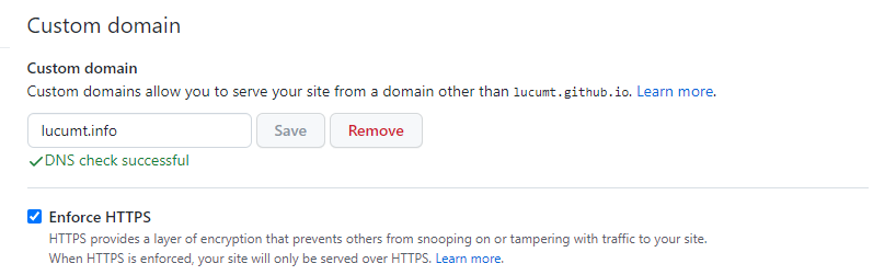 “HTTPS DNS检查通过”